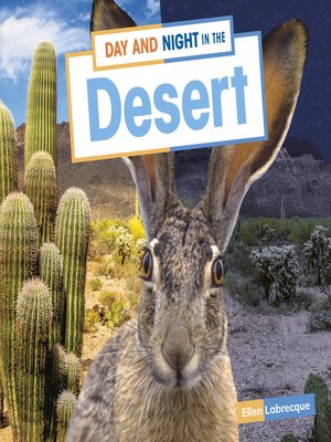 cover image of Day and Night in the Desert